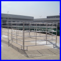 Hot dipped horse fence from Chinese manufacturer